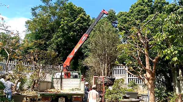 Thuê xe cẩu tự hành tại Ninh Bình